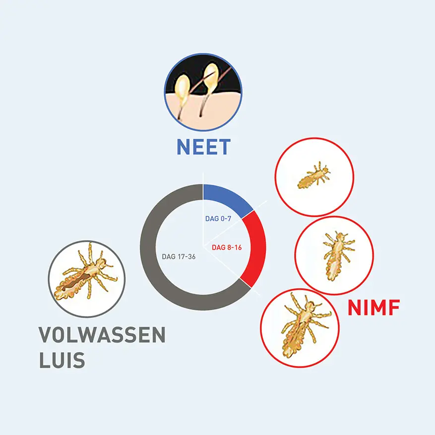 <img class="w-100" width="720" height="720" data-src="/media/14156/levenscyclus-luis-stadia-en-cycli.jpg?anchor=center&amp;mode=crop&amp;width=720&amp;height=720&amp;rnd=133766795680000000" alt="De levenscyclus van een luis" title="De levenscyclus van een luis" src="/media/14156/levenscyclus-luis-stadia-en-cycli.jpg?anchor=center&amp;mode=crop&amp;width=720&amp;height=720&amp;rnd=133766795680000000" style="opacity: 1;">