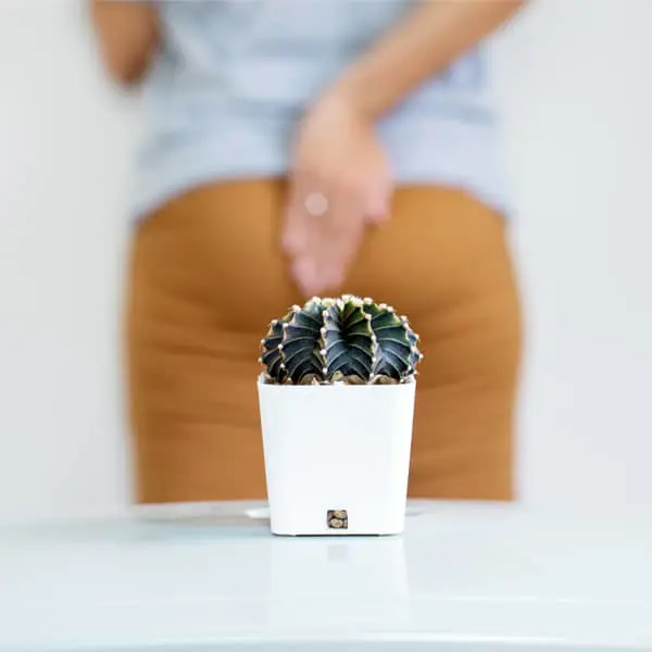 Inhoudstafel blaasontsteking