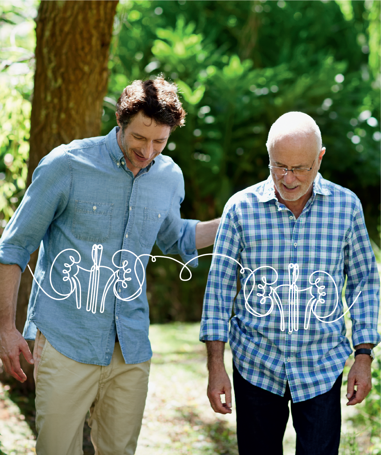 Was ist die Funktion der Nieren?