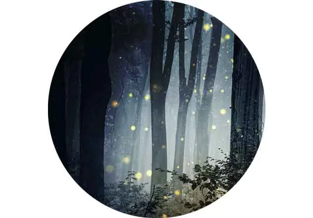 Dix conseils qui vous aideront à mieux dormir.