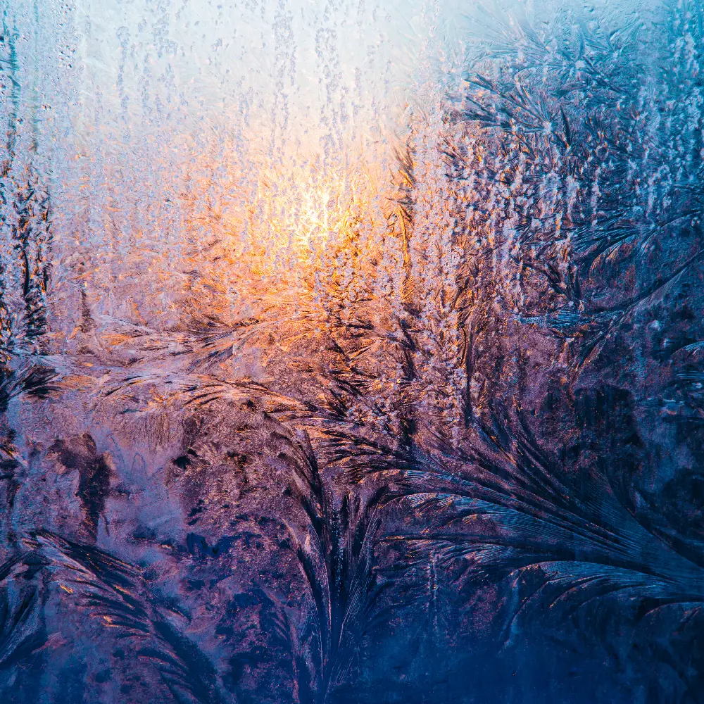 Causes de nez bouché et conseils pour y remédier