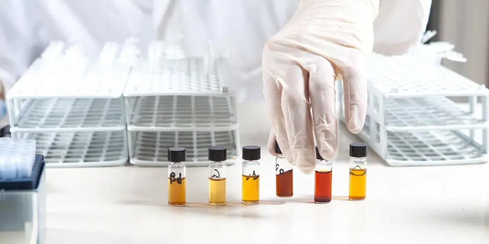 Quelle est la meilleure façon de prendre du curcuma pour soutenir vos articulations ? 