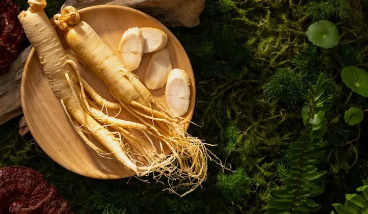 Le lien entre ginseng et vitalité