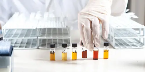 Quelle est la meilleure façon de prendre du curcuma pour soutenir vos articulations ?