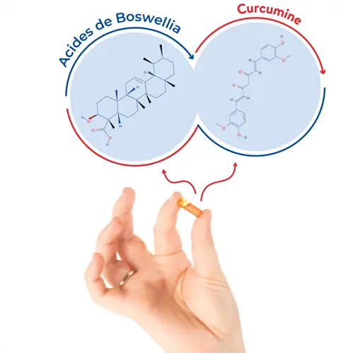 Un supplément de curcuma en combinaison avec d'autres médicaments peut-il être dangereux?