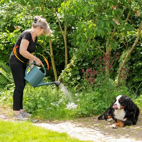 Un système musculo-squelettique astucieux : muscles, tendons, articulations et cartilages fonctionnent ensemble pour la fluidité du mouvement.