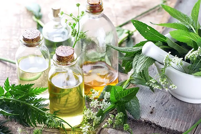 Al duizenden jaren wordt boswellia serrata in de Indiase ayurvedische geneeskunde gebruikt.