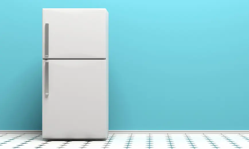 Le congélateur pendant 24 heures