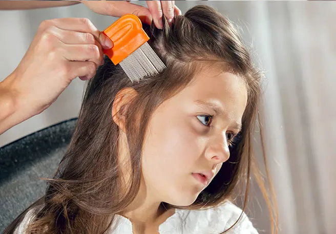 Luizen zijn geen symptoom van een gebrekkige hygiëne.