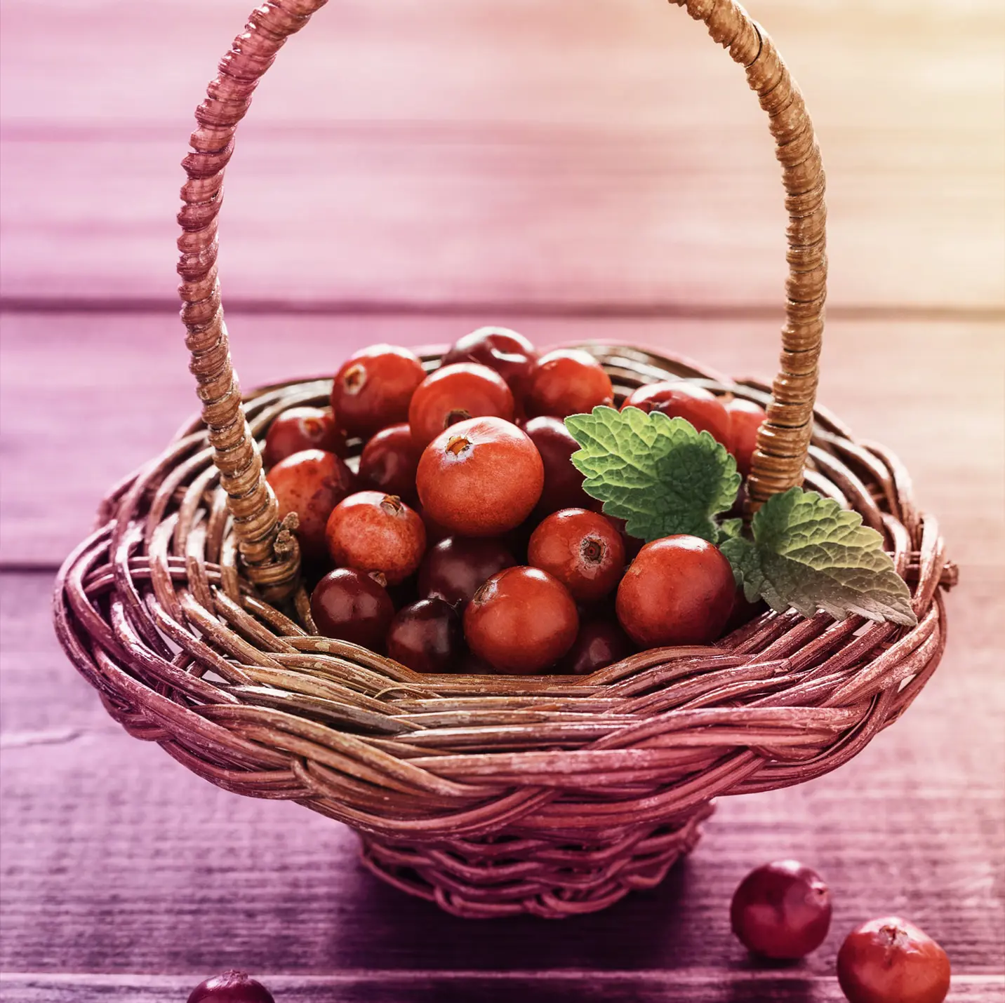 Cranberry of veenbessenextract