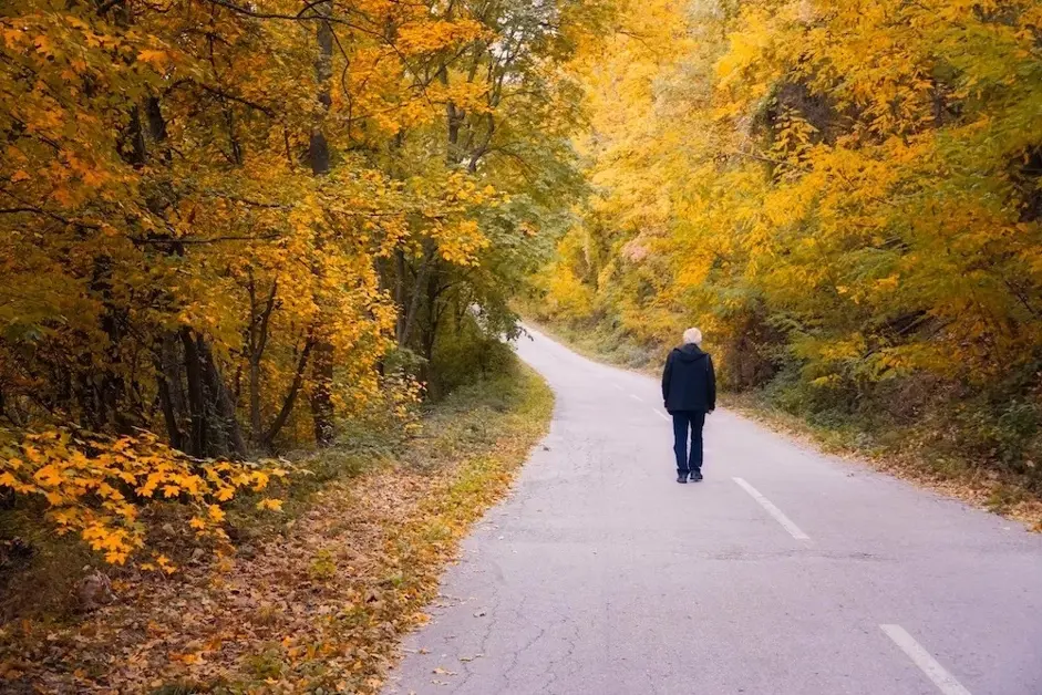 Sels de magnésium organiques ou inorganiques - quel complément de magnésium présente le plus d'avantages
