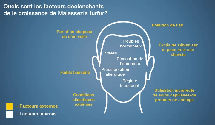 La croissance du champignon Malassezia furfur est influencée par plusieurs facteurs. 