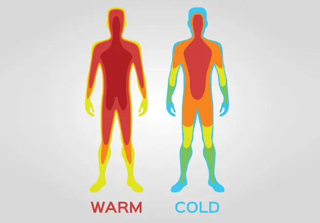 Notre peau régule la température de notre corps.