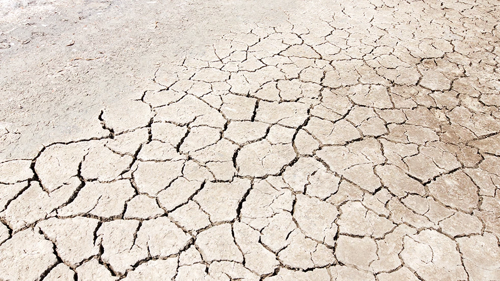 Évitez que votre peau ne se déshydrate. Si vous avez la peau sèche, vous avez un risque plus élevé d'eczéma.