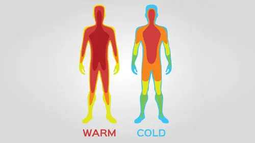 Onze huid regelt onze lichaamstemperatuur.