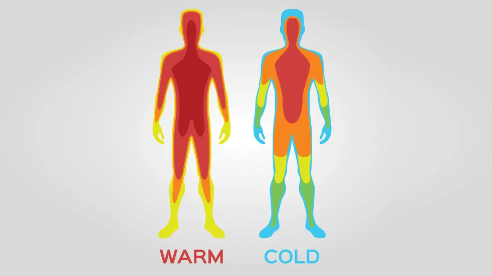 Notre peau régule la température de notre corps.