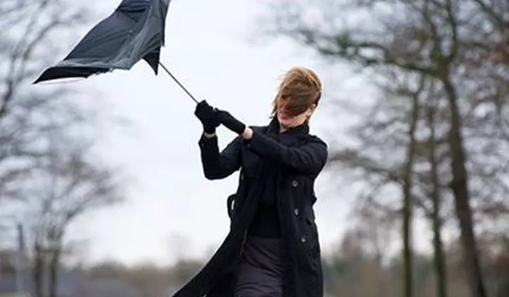 La pollution atmosphérique peut stimuler notre production de sébum et ainsi contribuer à l'eczéma séborrhéique.