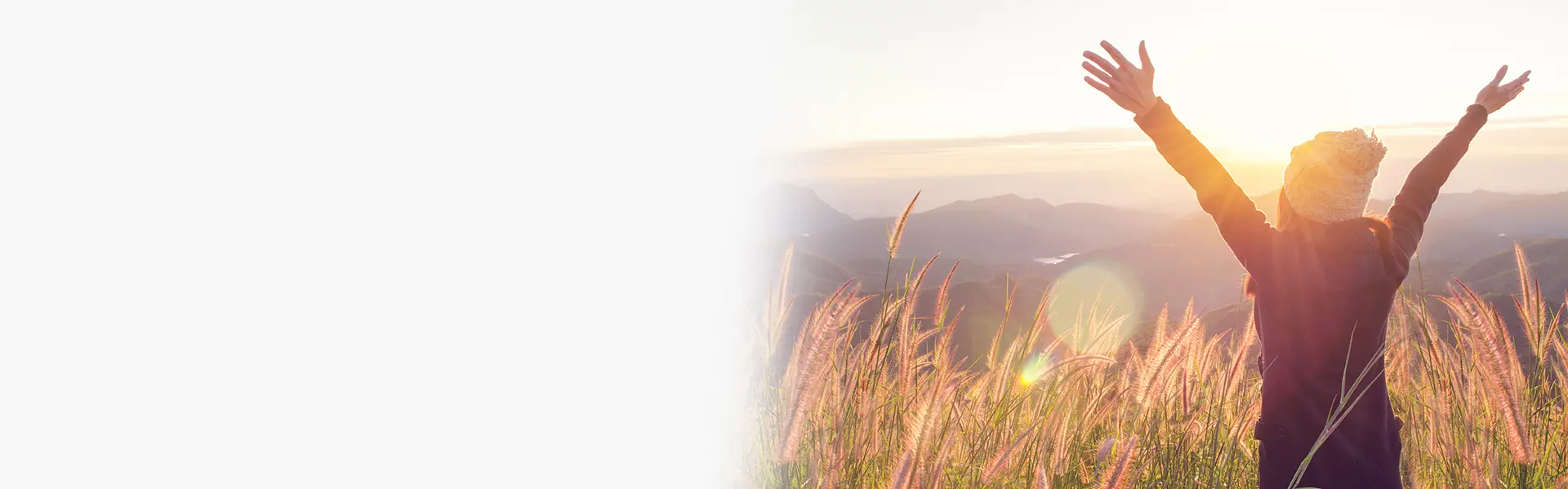 Wat doet kurkuma voor de gewrichten? 