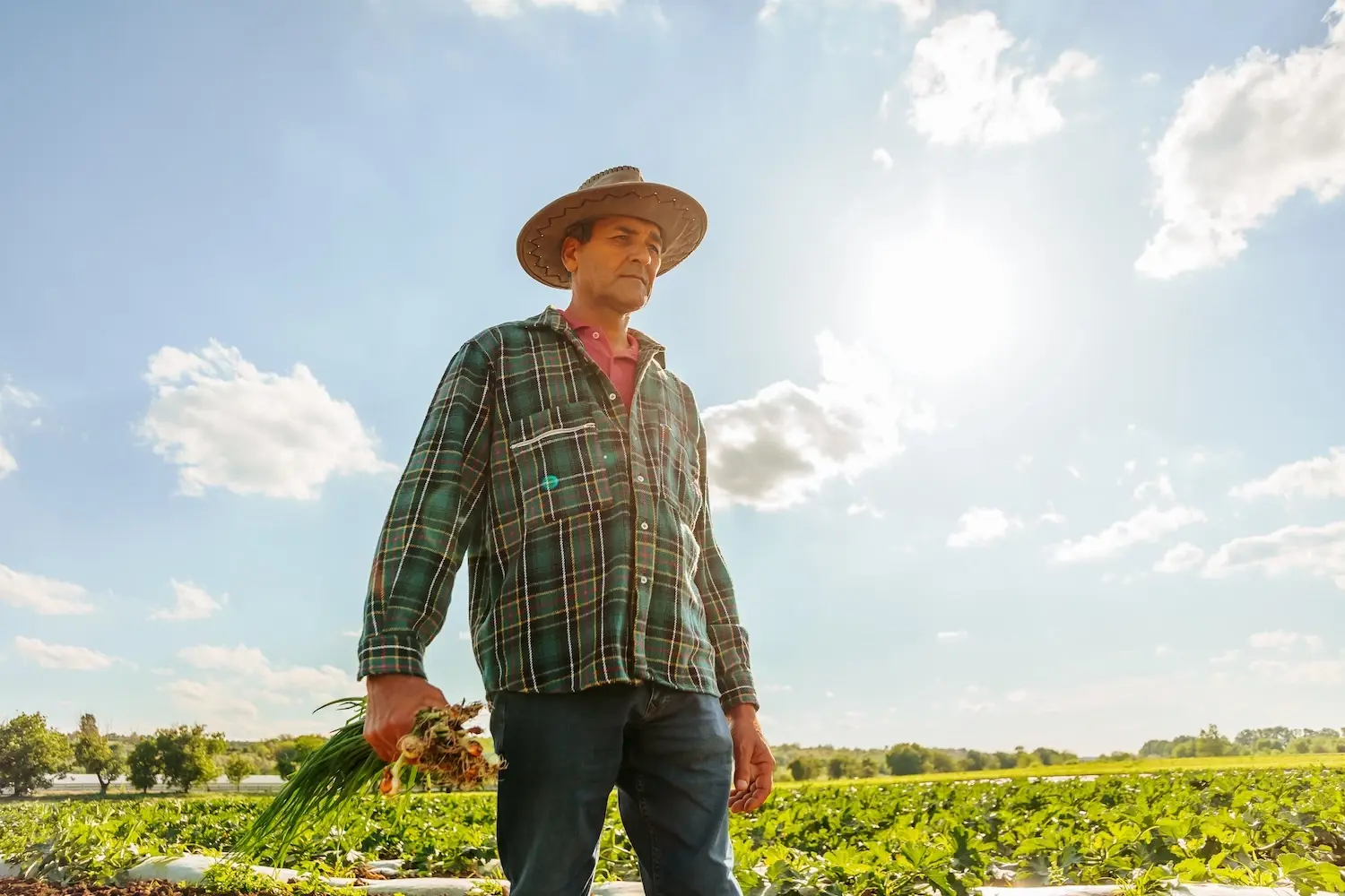 Plus d’activité physique