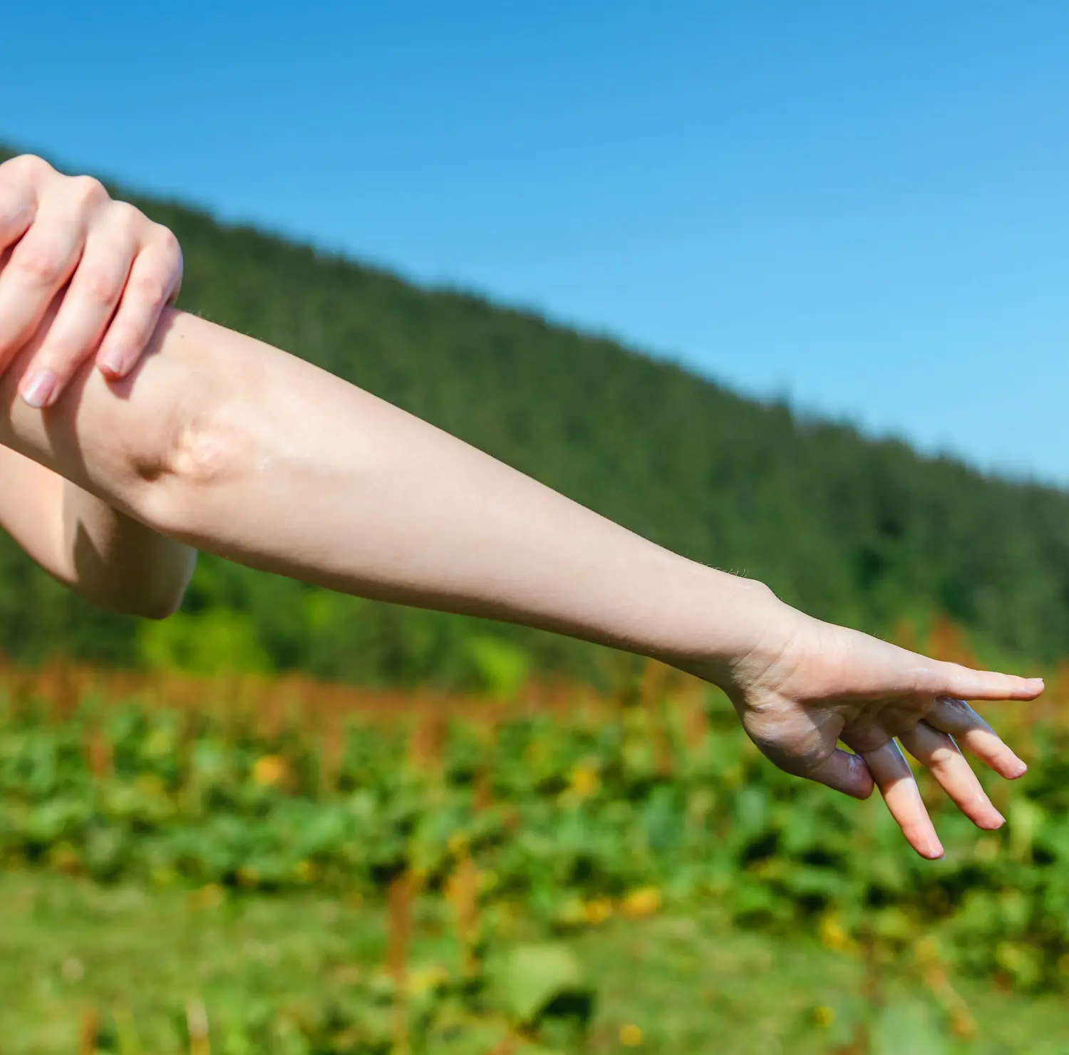 Une réduction de l’absorption par la peau