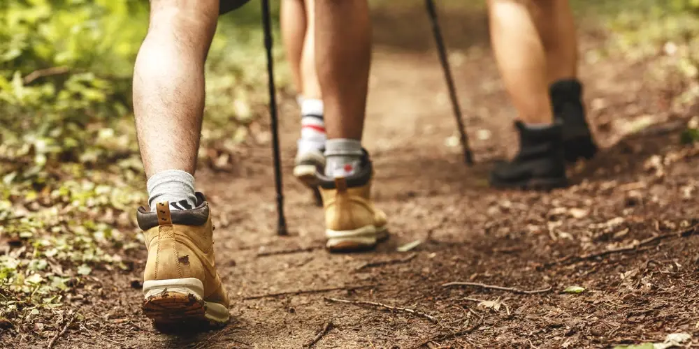 Oude Kalevallei Wandelroute