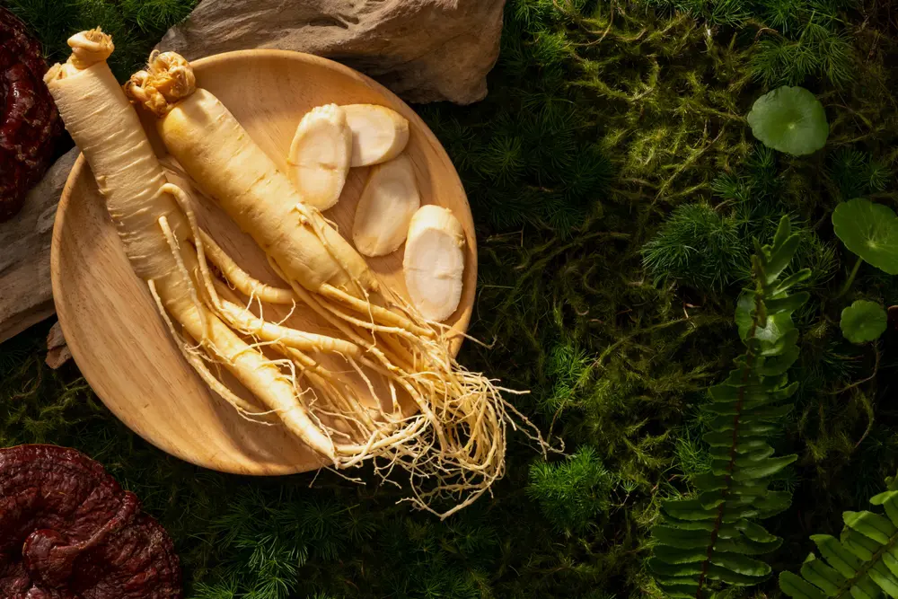 Le lien entre ginseng et vitalité