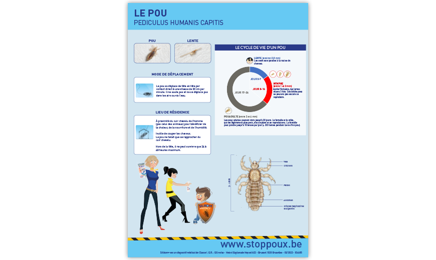 Vous donnez un cours sur les poux ? Alors vous pouvez utiliser cette fiche d'information bien conçue.
